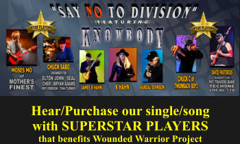 Hear/Purchase our single/song with SUPERSTAR PLAYERS that benefits Wounded Warrior Project
